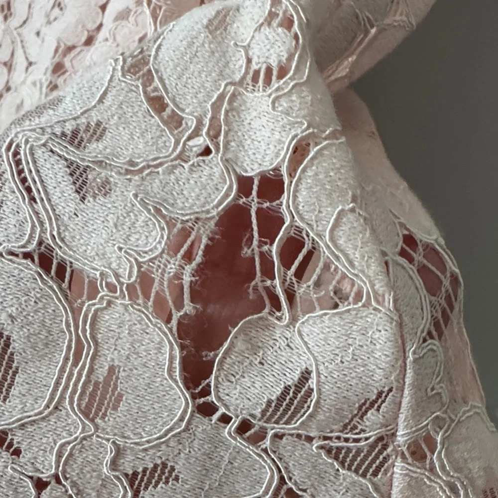 Jessica Howard Women's Blush Pink Lace Fit-and-Flare Dress Size 14